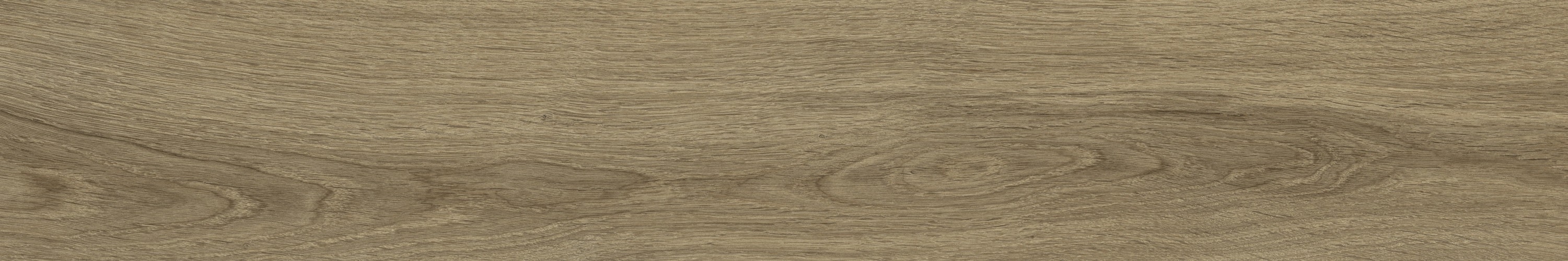 WD106 Branch Taupe 20x120 PrimaVera