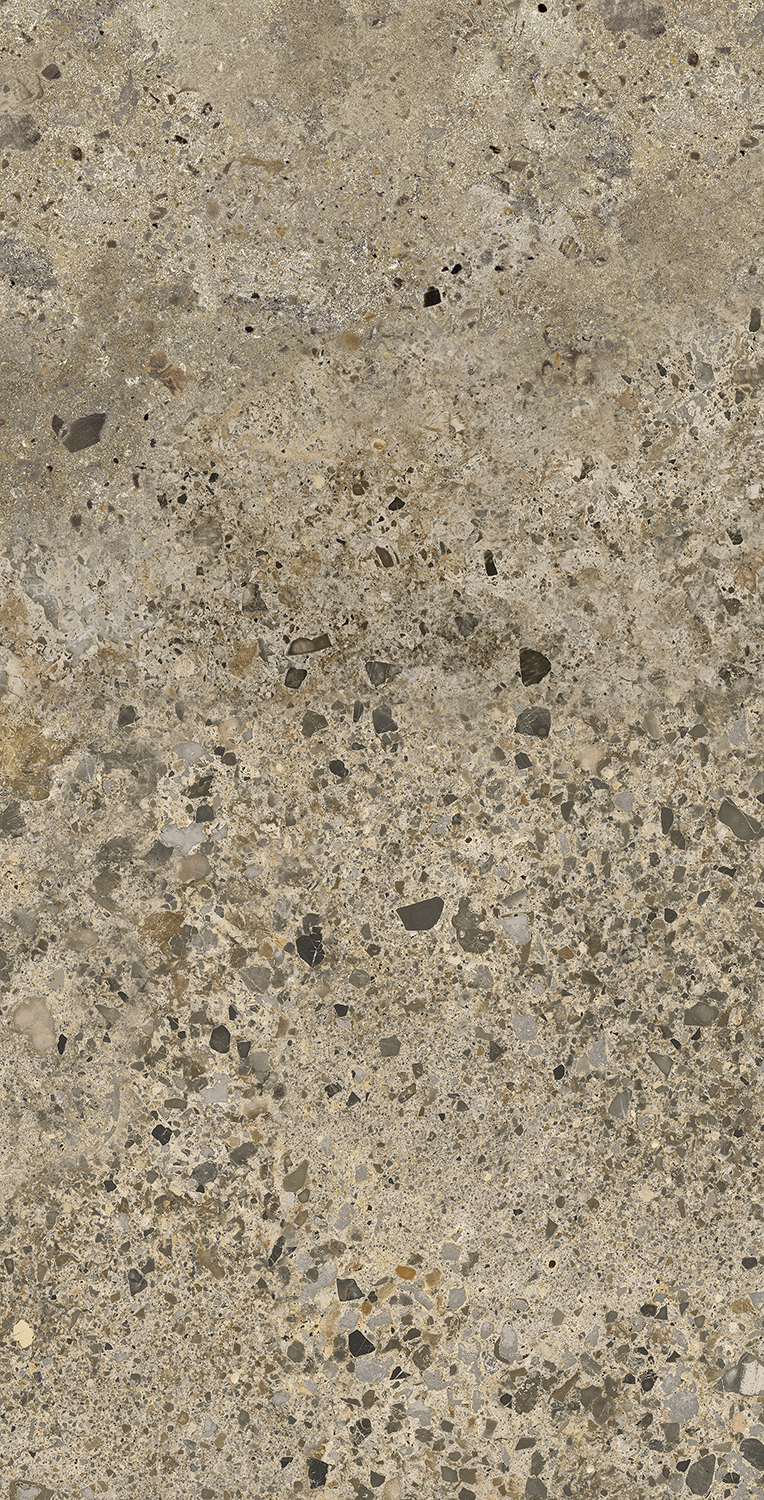 AC126196A Pietra Viva Matt 60x120 Artecera