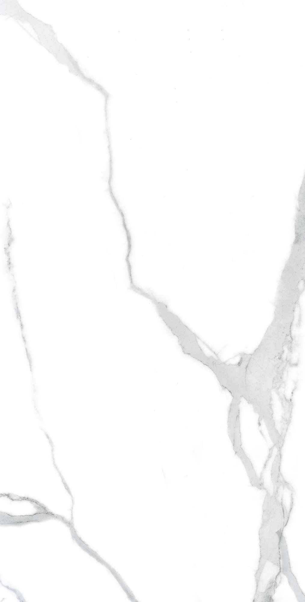 FP1021-A Nuvo Statuario Full Polished 60x120 Arcadia Ceramica