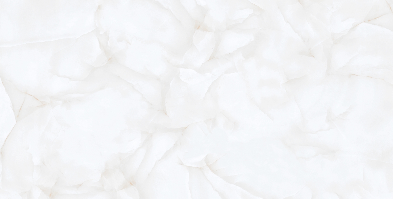 Brais White Carving 60x120 Realistik