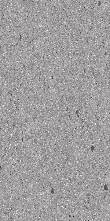 Terazzo grey 60x120 ZERDE TILE