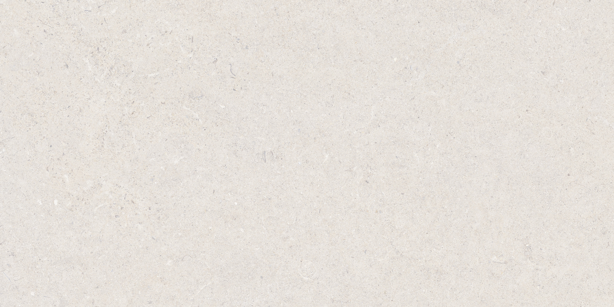 Calcare White 60x120 TAU Ceramica фото 8