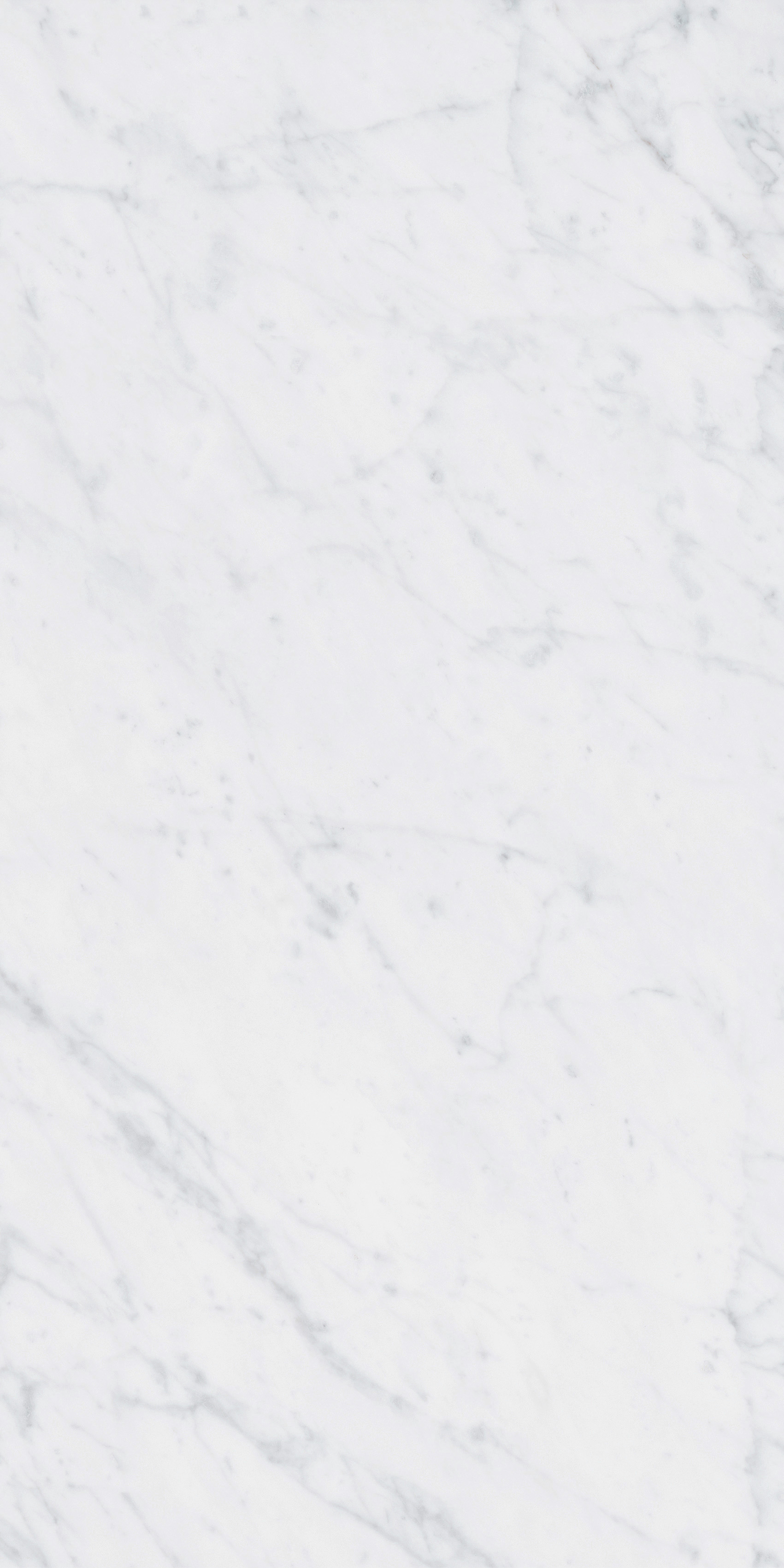 4101065 Italic Carrara 60x120 41ZERO42