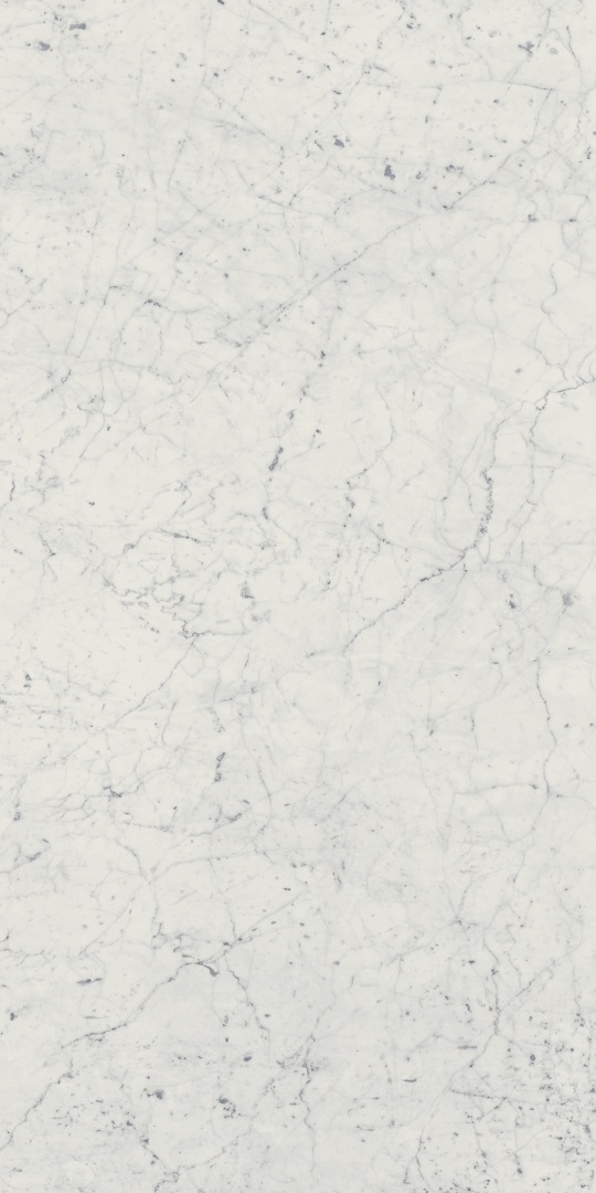 610010001194 Charme Extra Carrara Nat Ret 60x120 Italon