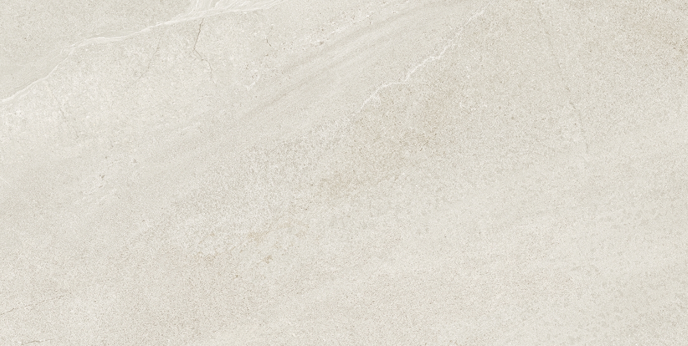Eddystone Blanco Matt 60x120 Geotiles