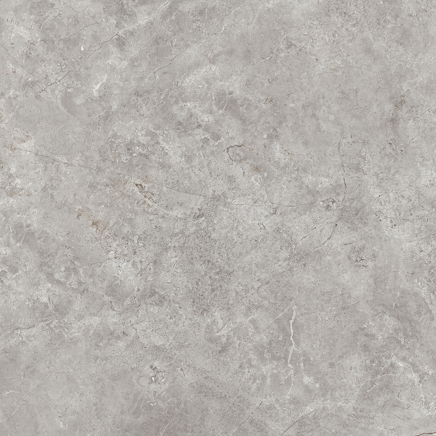 100331094 Fiori Di Bosco Polished 120x120 Urbatek фото 7