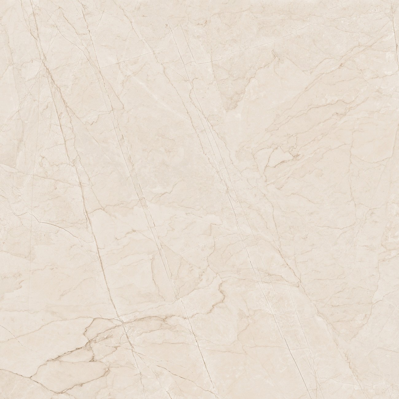 Lizzard Ivory Shiny Sugar 60x60 Ocean-Ceramic