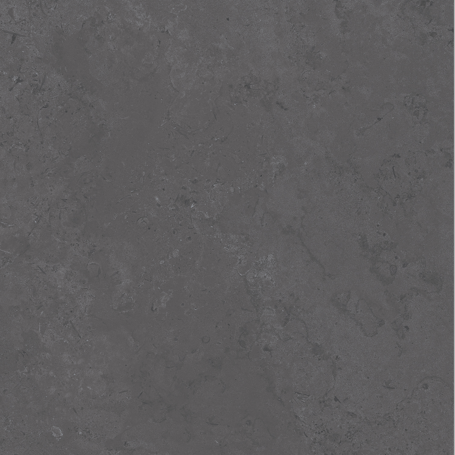 DD640800R Про Лаймстоун серый темный натуральный обрезной R10 60х60 Kerama Marazzi