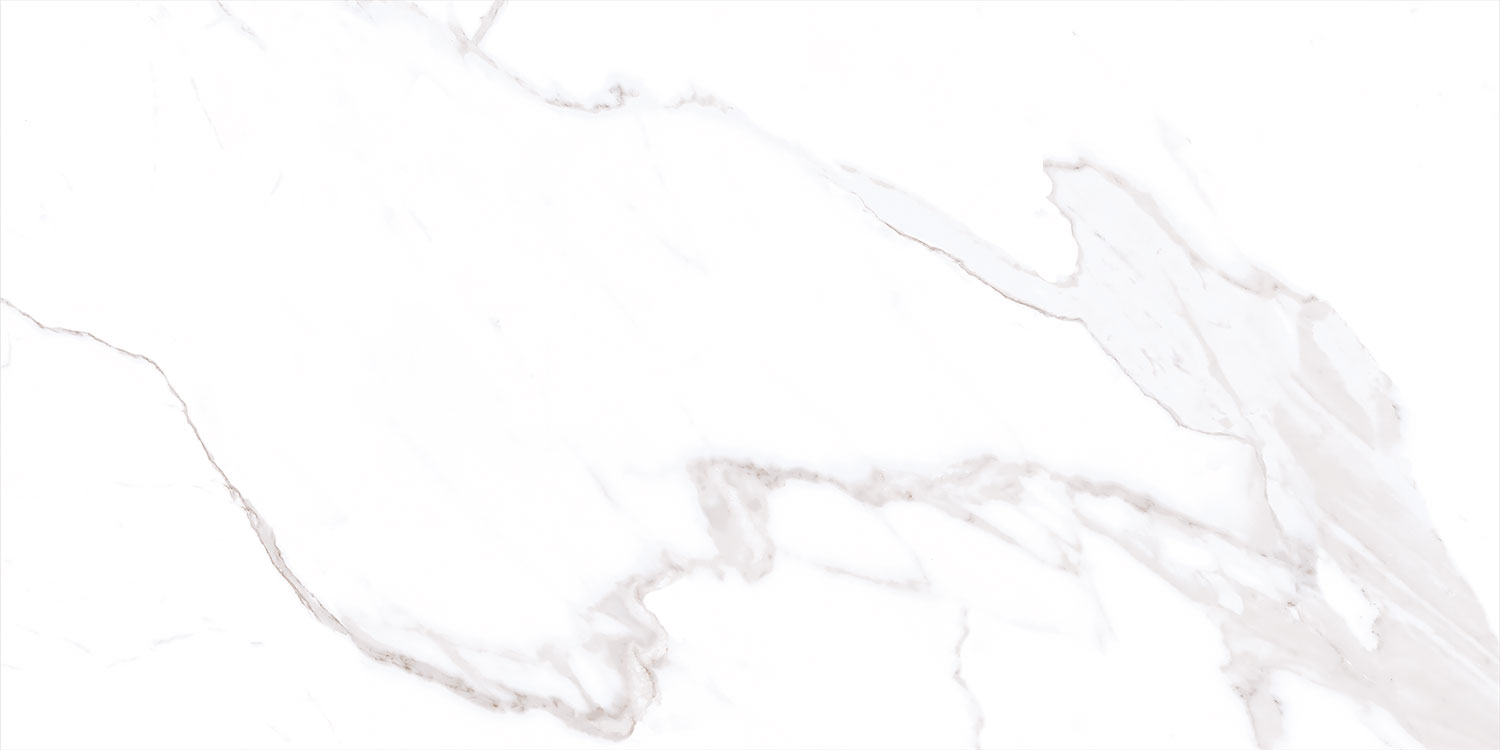 Panteon Blanco Rectificado 60x120 Novacera