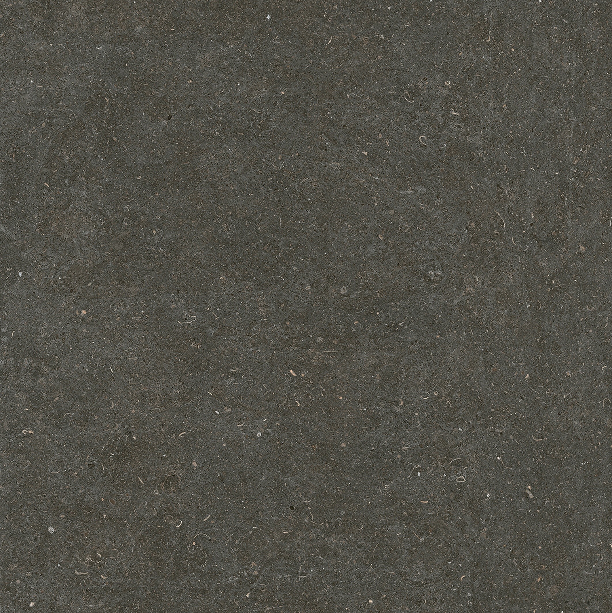 785581 Rinascenza Arena Platino Matte 6mm 120x120 Casa Dolce Casa фото 5