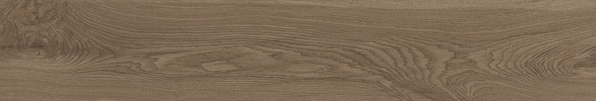 41729 Bloom Cognac SP/24x151x0,9/R 24x151 Peronda