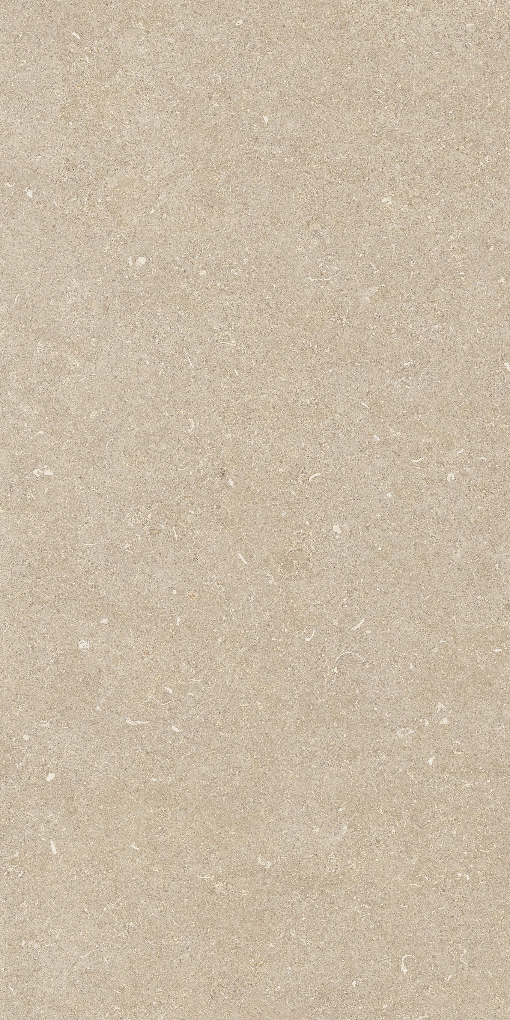 785493 Rinascenza Arena Conchiglia Grip 60x120 Casa Dolce Casa фото 3