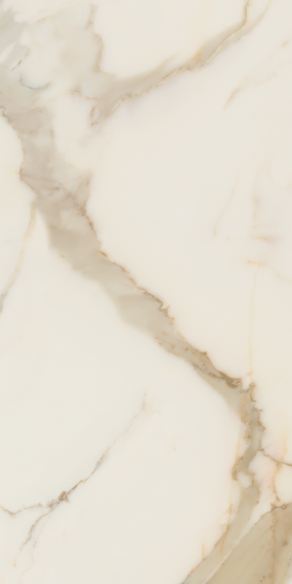 AIAT Golden White Matt RT 60x120 Caesar