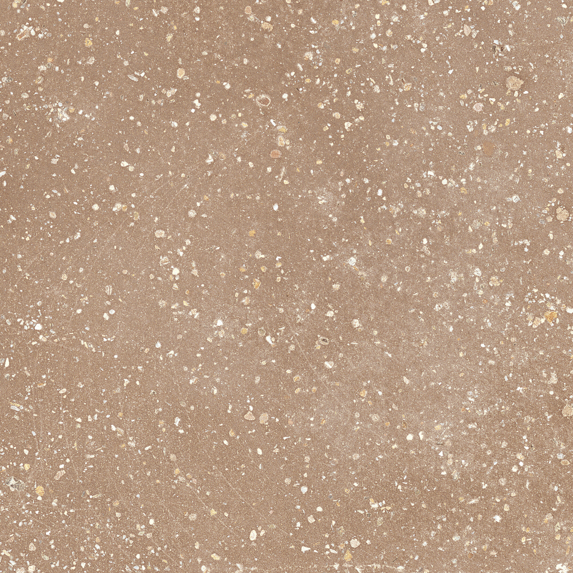 42778 Cosmos Clay SP/22,3 22,3x22,3 Harmony
