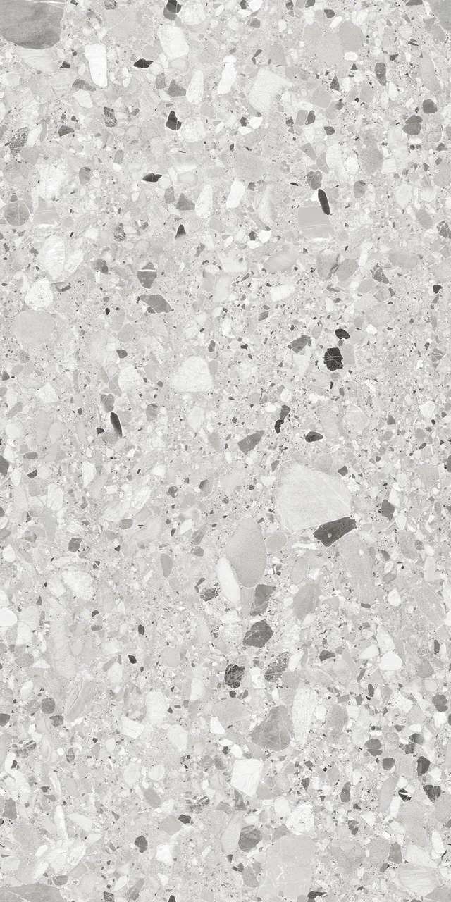 RS 1029 Grey Carving 60x120 BELLEZA