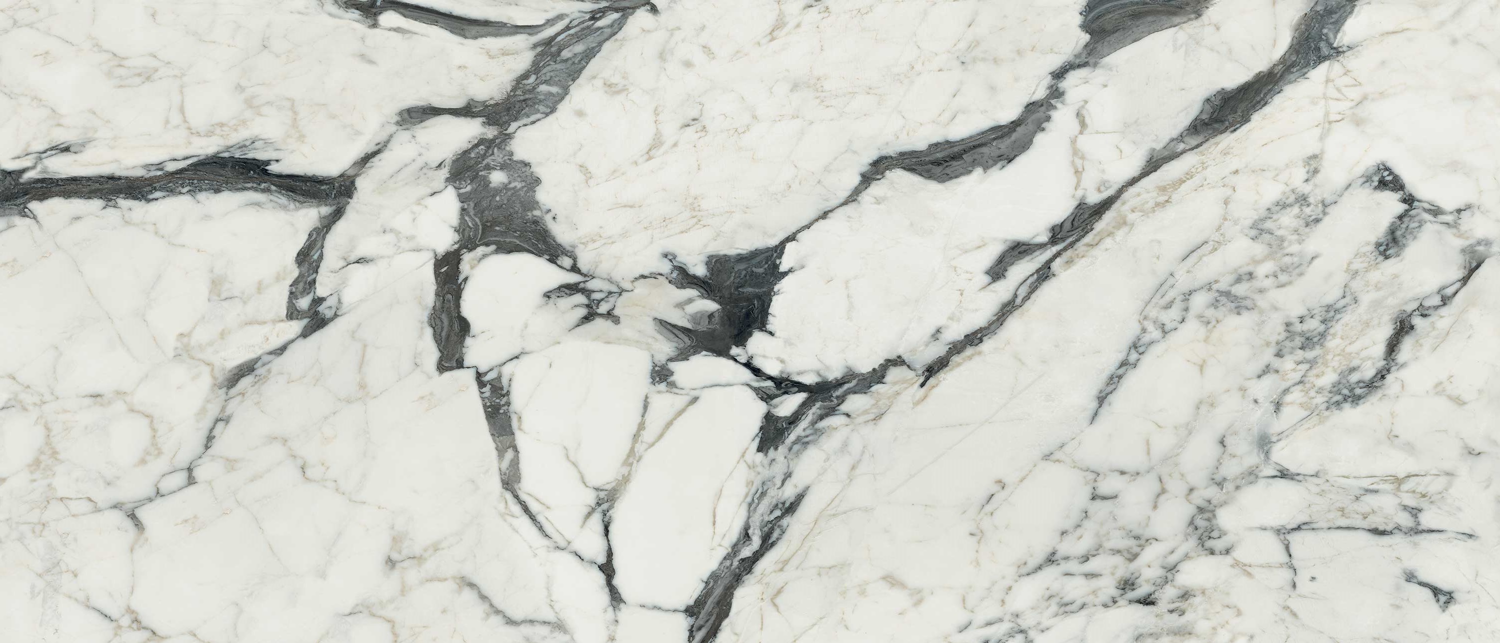 765697 Bijoux Calacatta Altissimo Glossy 6mm 120x280 Rex Ceramiche