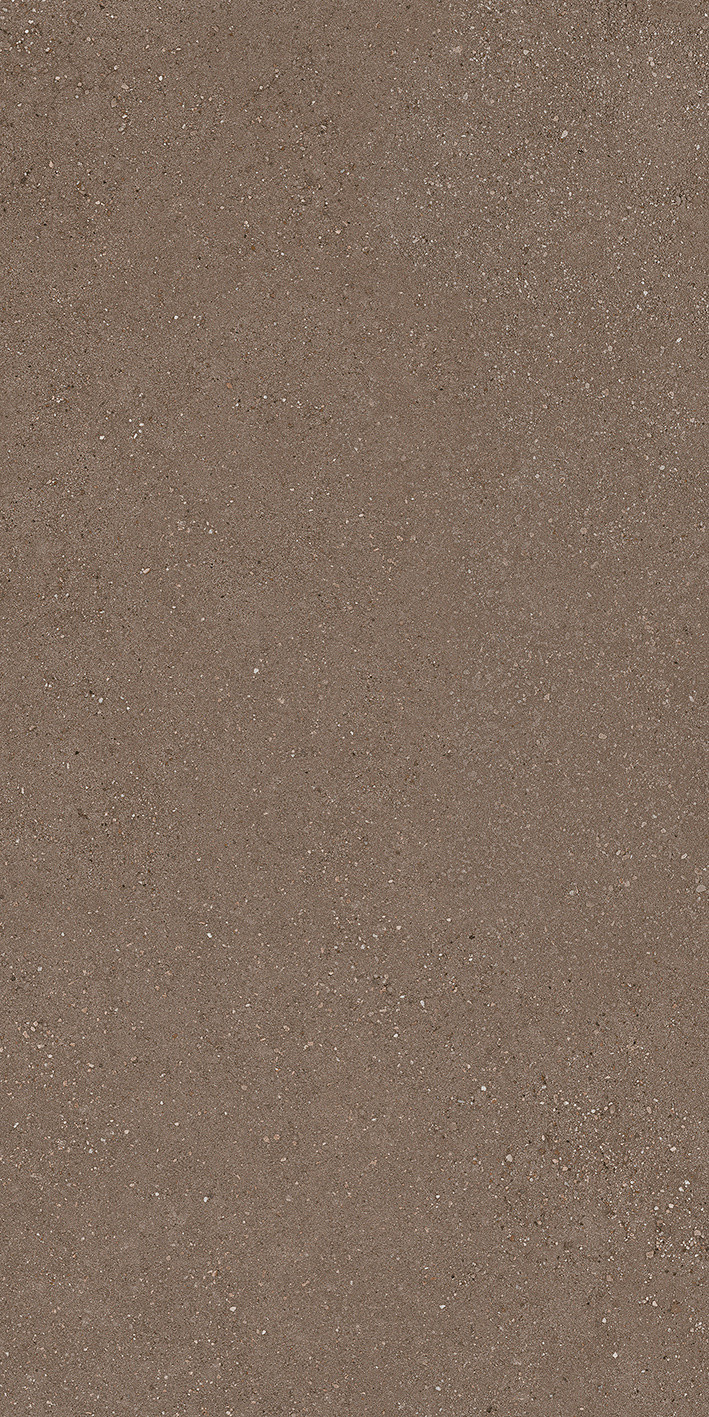 777980 Compatta Argilla Nat 60x120 Cedit