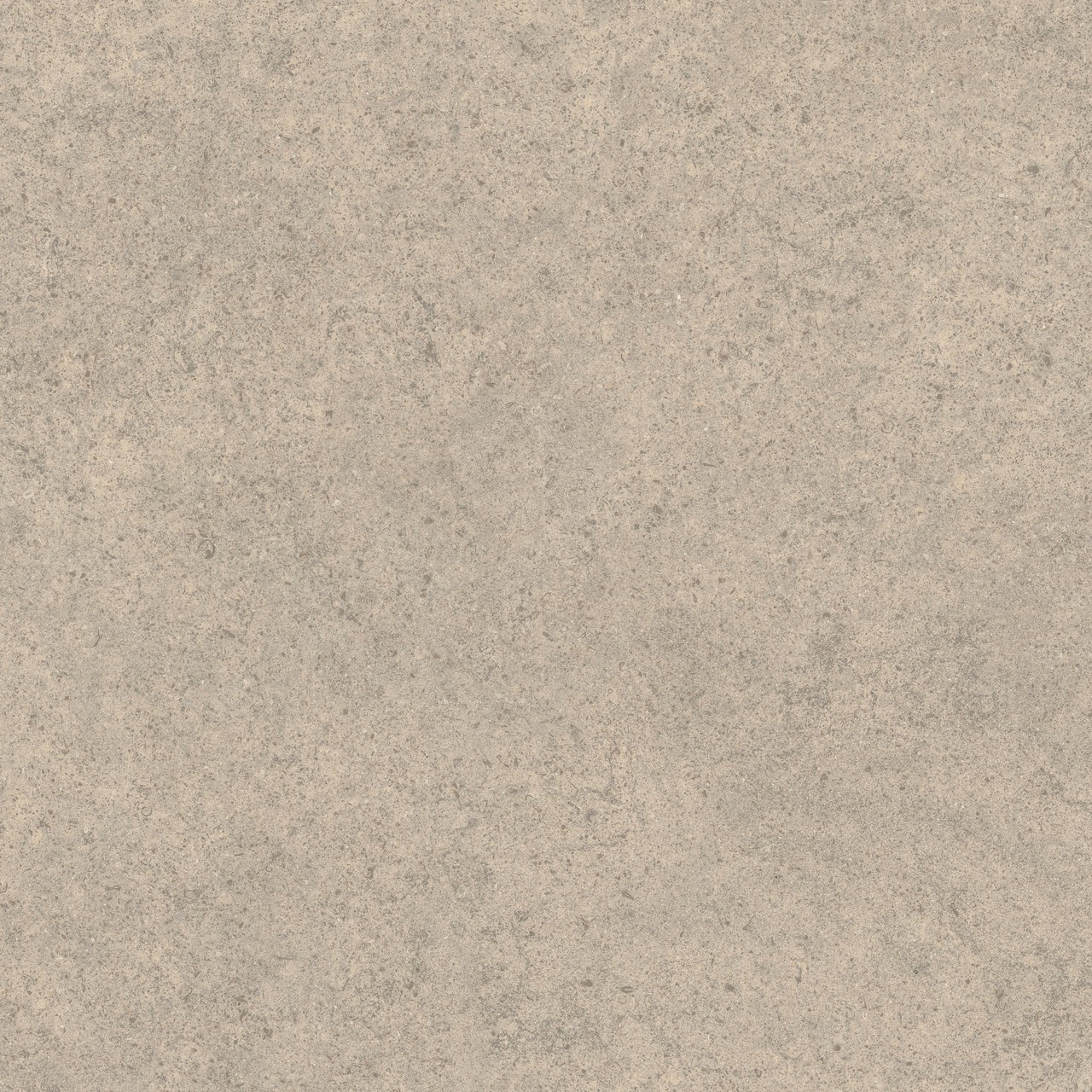 600010002428 Forte dei Marmi Rock Moleanos Cream Matt Rett 120x120 Atlas Concorde Russia