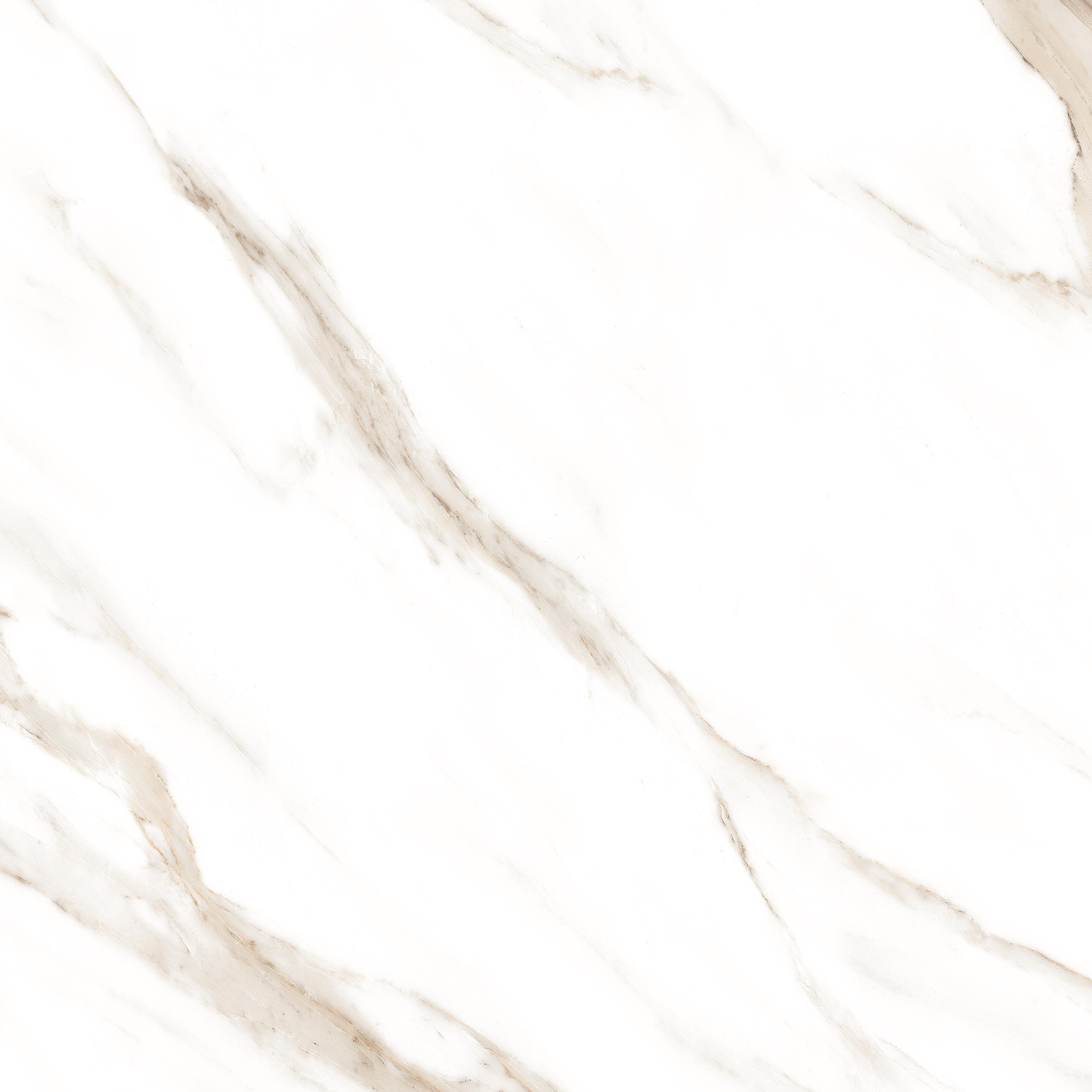Statuario Brown Glossy 60x60 Modern Tile