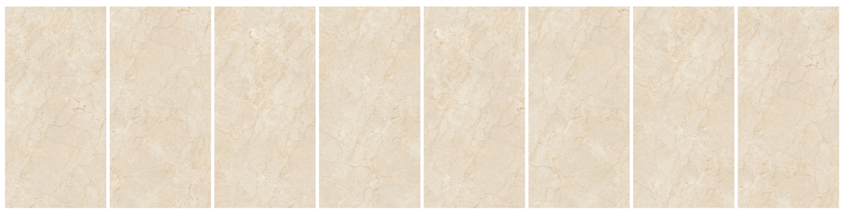 Bottichino Polished 60x120 Royal Tile