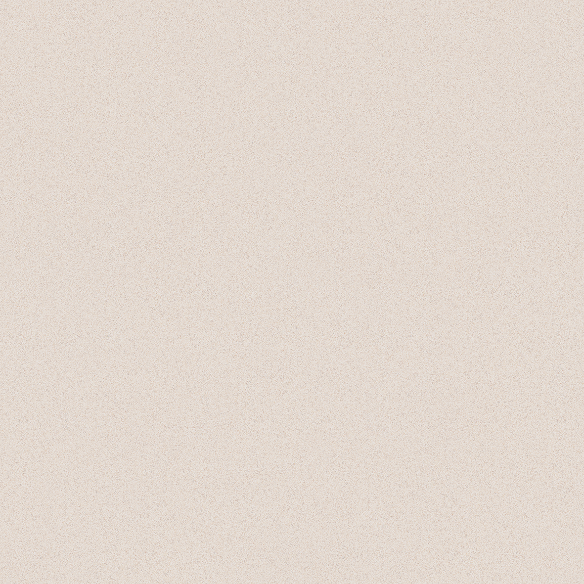 PF60020513 Sandy Plains Ivory Nat Ret 60x60 ABK фото 3