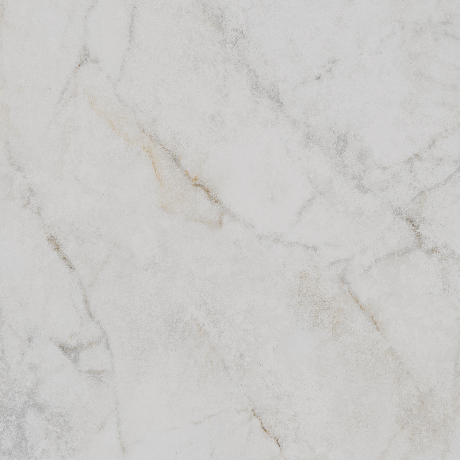 SG654022R Серенада белый лаппатированный обрезной 60x60 Kerama Marazzi фото 3