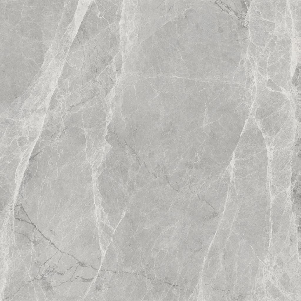 Worner GREY 60x60 Bluezone
