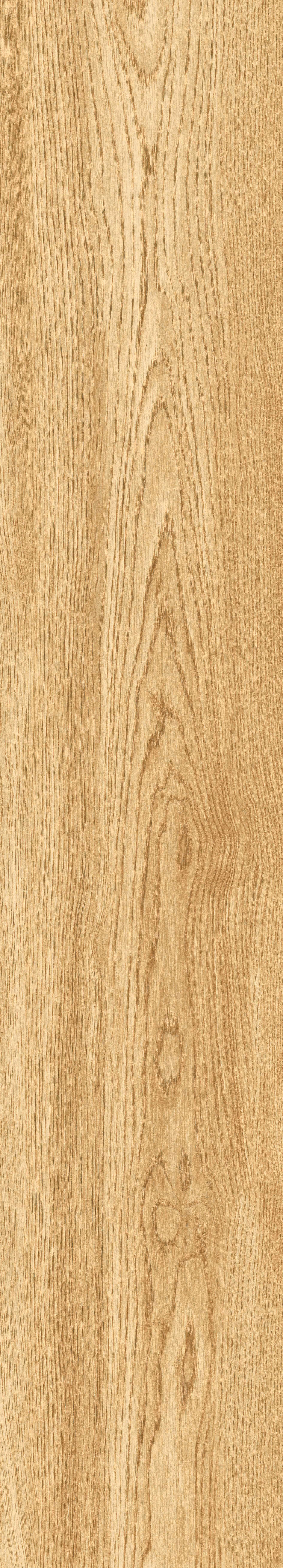 1064 Parma Honey Mate 120x20 Artcer