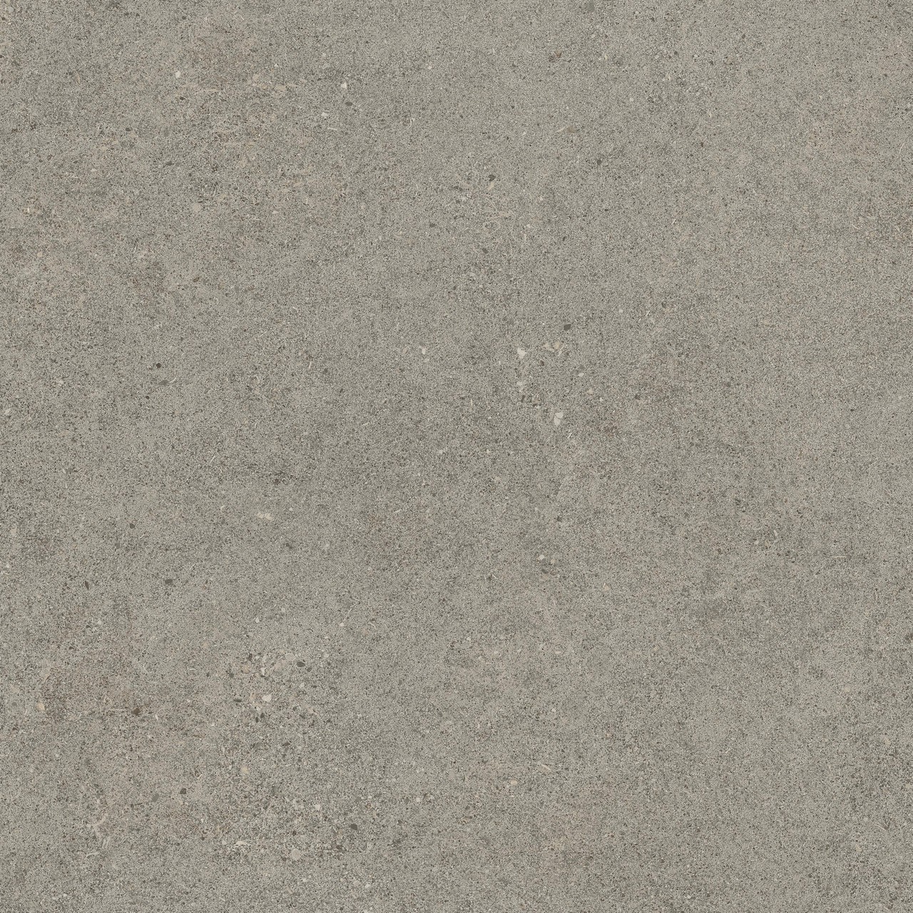 610010005836 Forte dei Marmi Rock Lunar Grey Lastra 20mm 60x60 Atlas Concorde Russia