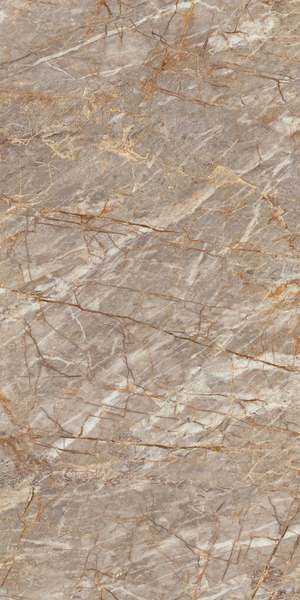 HEAZ Natural Roots Polished Endless 6mm 160x320 Atlas Concorde фото 3