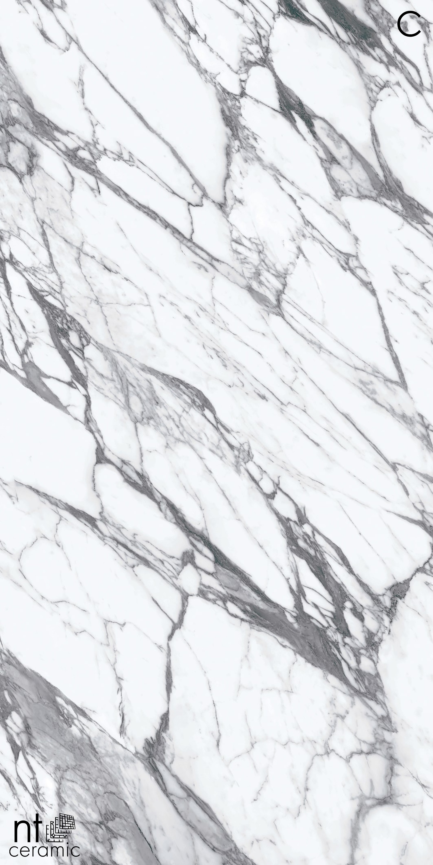 NTT3507L Calaсatta Rock 120x270 NT Ceramic