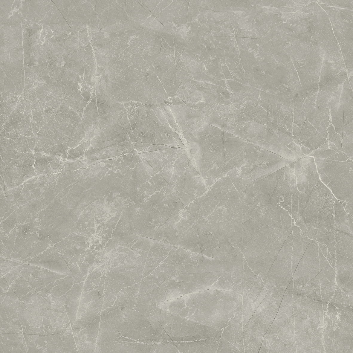 Wolf Grey 80х80 Laparet