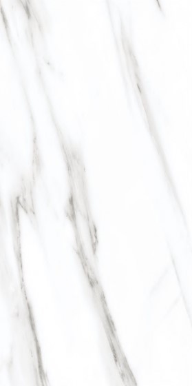 3033 Culcuta Retro Polished 60x120 Letera