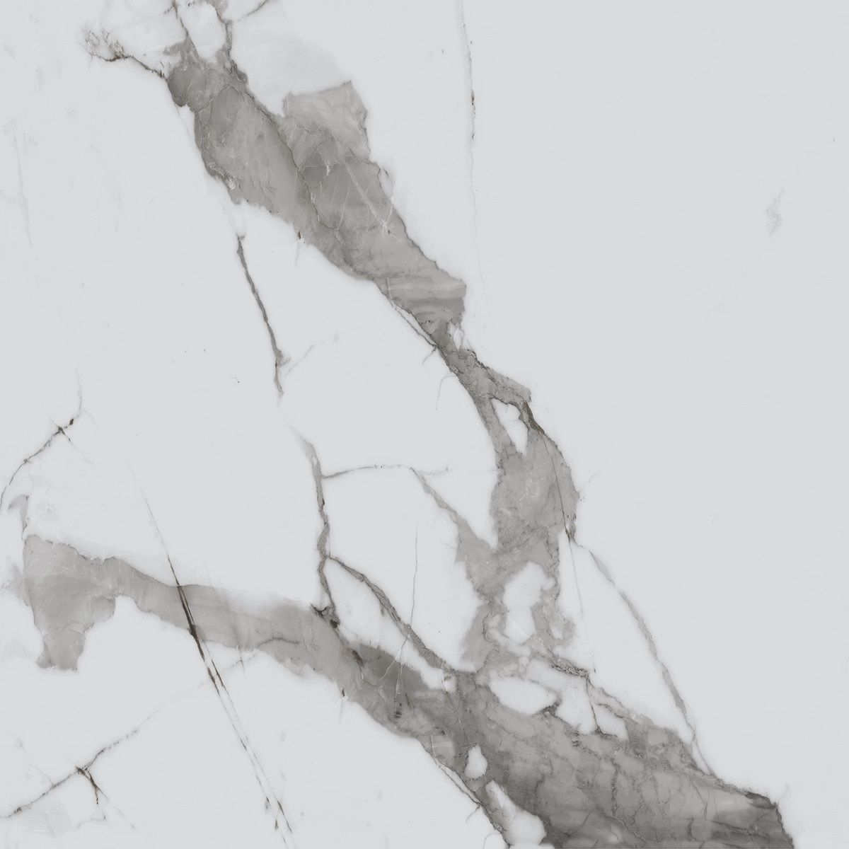 R_PR1002 Calacatta Luxe Polished 60x60 Royce