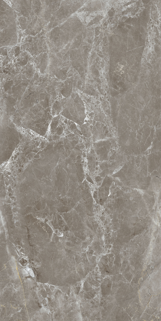 Zanetta Graphite Glossy 60x120 Modern Tile