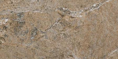 Dynasty Forest 20*40 Cerdomus