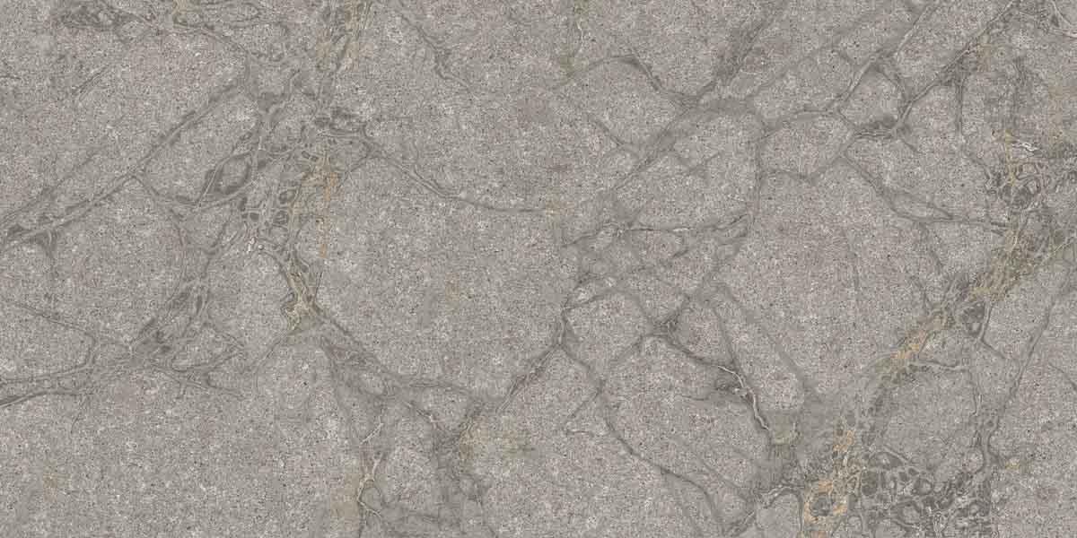 PF60011858 Supreme Memories Grey Soapstone Ant Ret 60x120 Flaviker