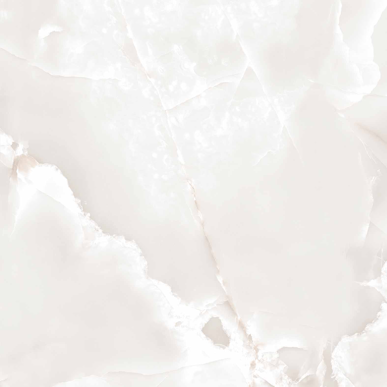 RT6005-A Primo Onyx Grey Matt Rustic 60x60 Arcadia Ceramica фото 4