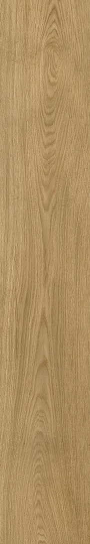 610010003503 Ducale Nut Ret 20х120 ColiseumGres