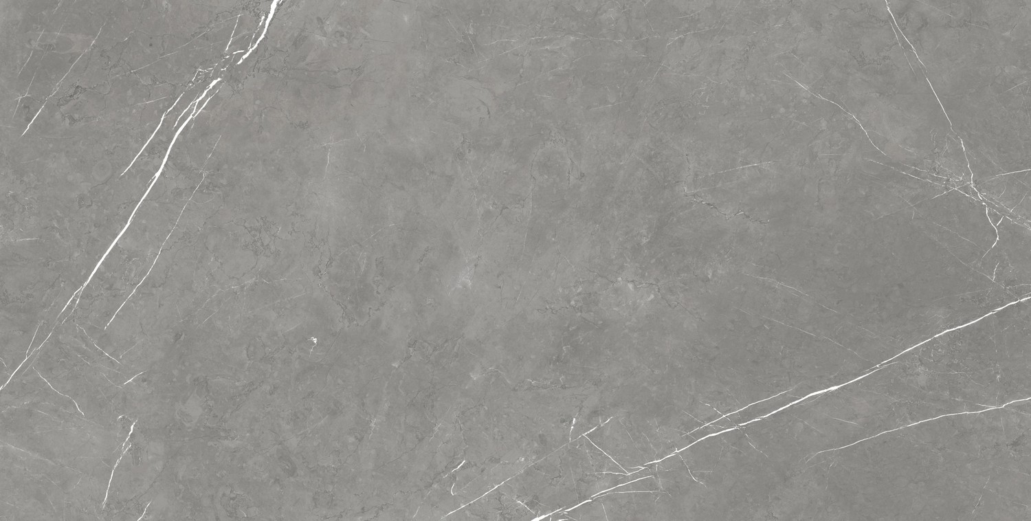 610015000665 Forte dei Marmi Elegant Grey Lapp 80x160 Atlas Concorde Russia