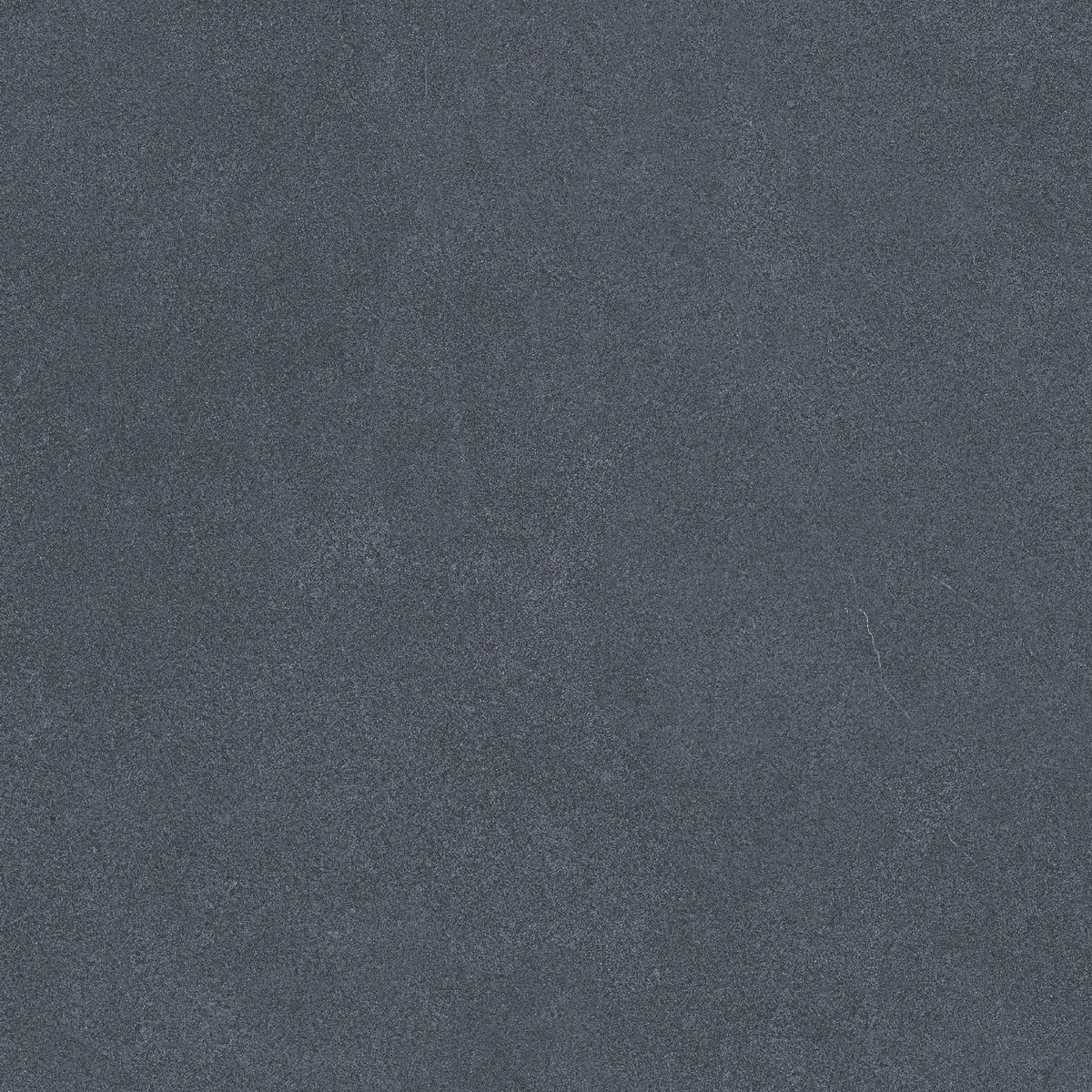 Monotone Panther Matt 20x20 Motto