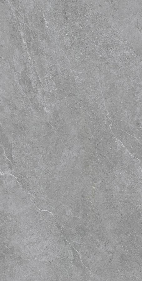Ground Grey Rect Matt 60x120 Bonaparte