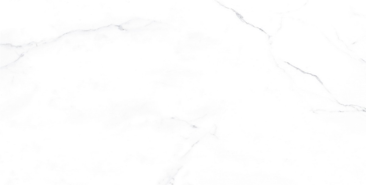 ENMAR1005MT60120 Carrara Bianco Matt 120x60x0.9 Ennface