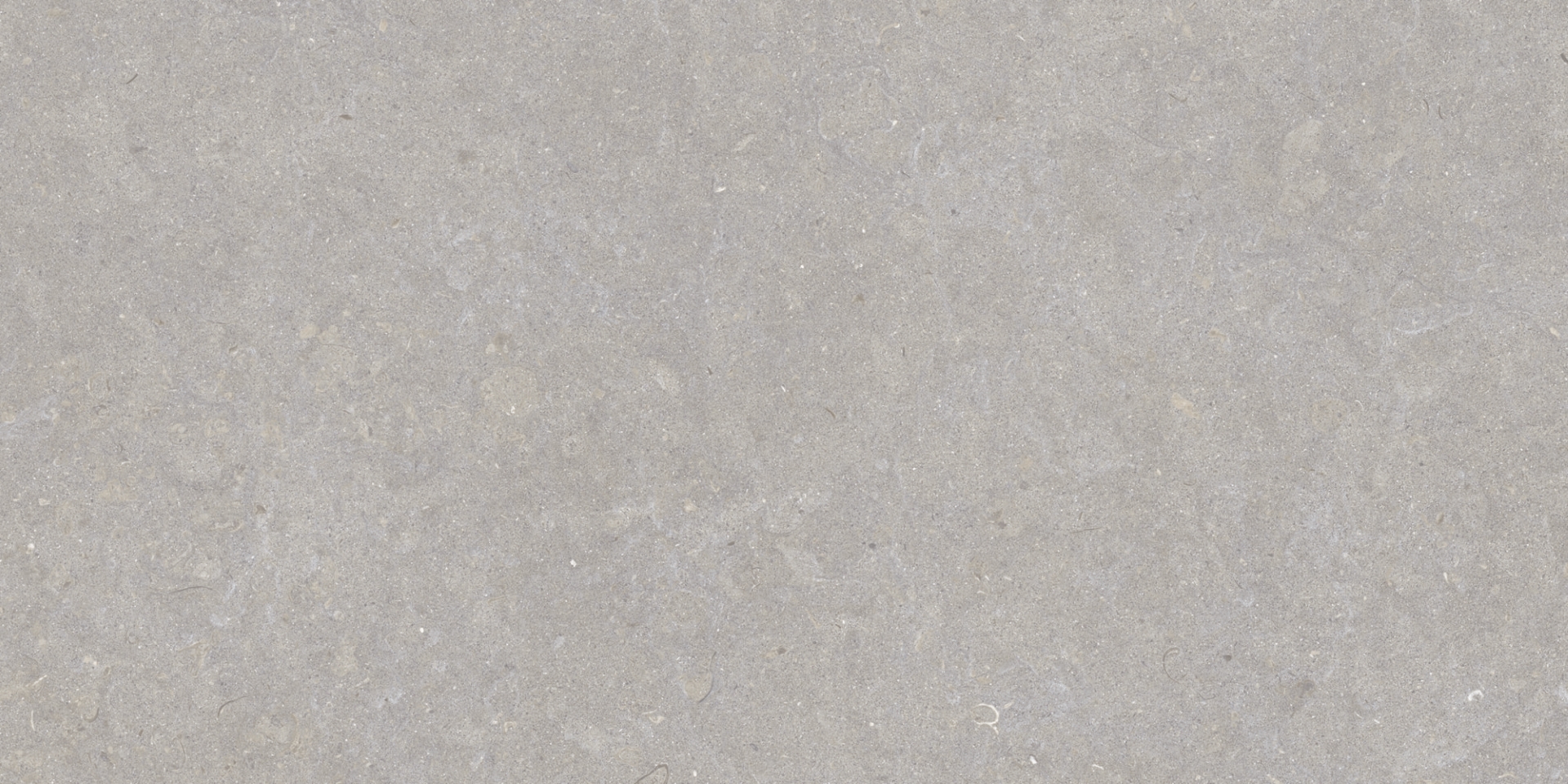 35568 Ghent Grey/50X100X2/A/R 50x100 Peronda фото 15