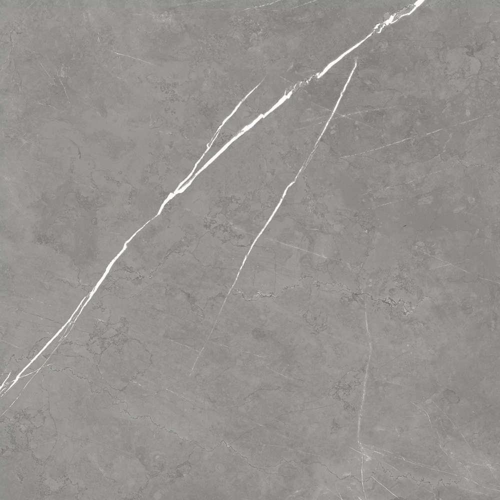 610010002724 Elegant Grey Lastra 20mm 60x60 Atlas Concorde Russia