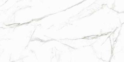 CBP05647M Marbles 5.5 60x120 Monalisa Tiles