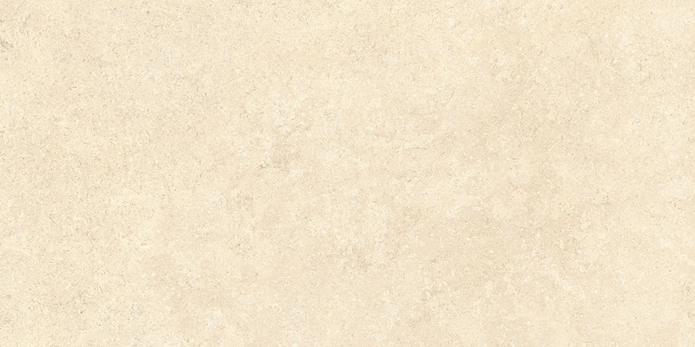 SandStone Песочный Матовый R10A Ректификат 9мм 60х120 Vitra