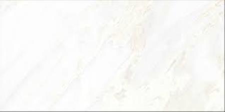 D1262806BM White Onyx 60x120 Gani