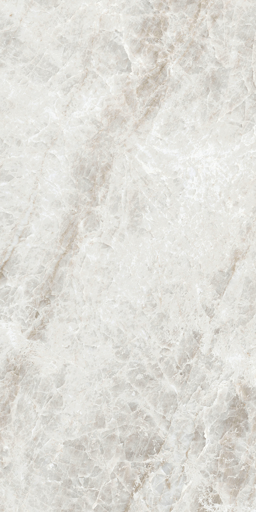 784553 Iconic Life Rice Yamuna Glossy 30x60 Cerim фото 3