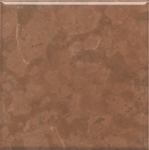 5289 Стемма коричневый 20*20 Kerama Marazzi